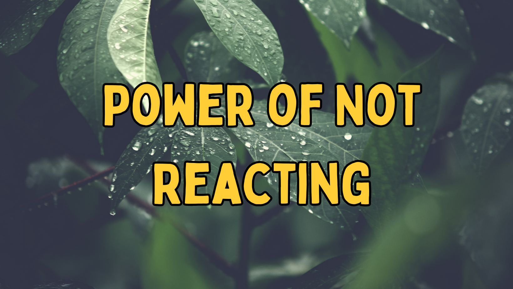 Read more about the article Power of Not Reacting